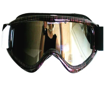 Goggles Ski Snowboard  Silverman