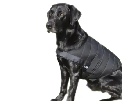 PowerDog SX3 Koelvest Hond  IJsvest