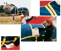 WarmUp Horse Blanket
